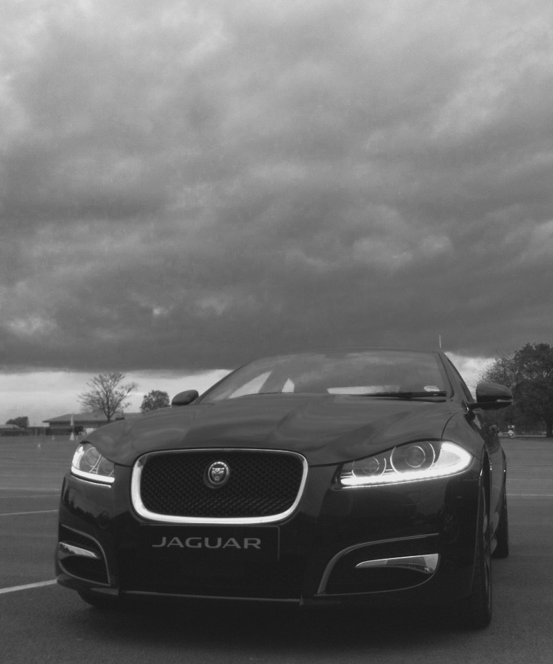 d088c50c-be28-4805-b94c-a5739d46f934_1_105_c